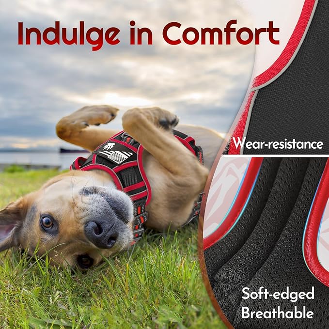 Eagloo Dog Harness Small Sized, Easy Wearing with 3 Buckles, Adjustable No Pull Pet Harness with 2 Rings for Walking, No Chock Reflective Soft Padded Vest with Control Handle, Black & Red, S-PawvioPets