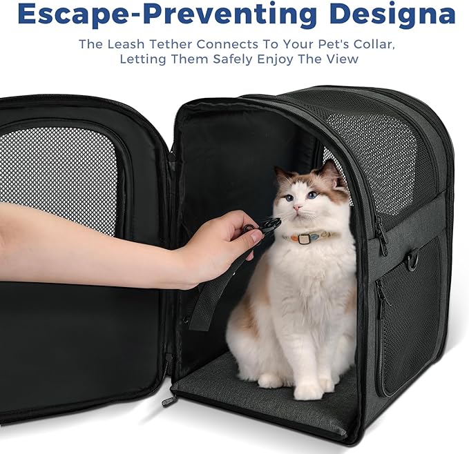 Apollo Walker Dog & Cat Carrier Backpack for 4-15lb Pets - Ventilated Safe Design with Padded Back Support, Breathable Mesh Pet Backpack for Hiking, Travel, Outdoor (Black)-PawvioPets