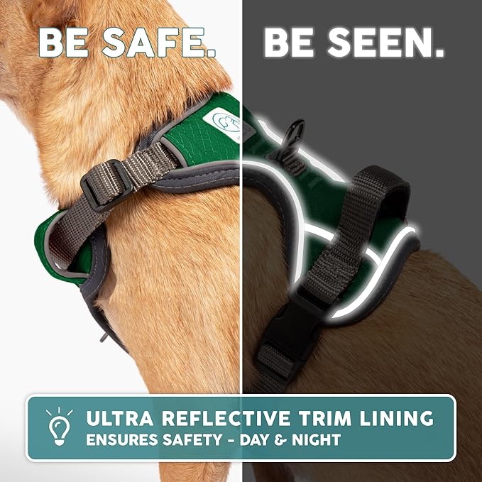 Embark Adventure Dog Harness, Reflective Trim No Pull Dog Harness for Large Dogs - Military Grade Nylon, Front Clip with Gel Lined Handle.-PawvioPets