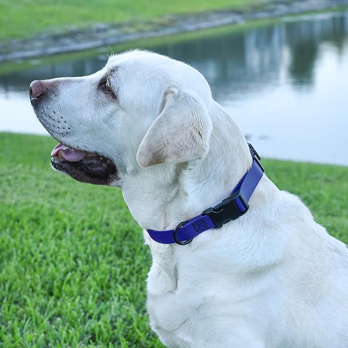 Dogline Biothane Waterproof Dog Collar with Quick Release Buckle Strong Coated Nylon Webbing with Odor- Proof for Easy Care Easy to Clean Fits Small Medium or Large Dogs, Royal Blue 3/4" W 12-19" L-PawvioPets