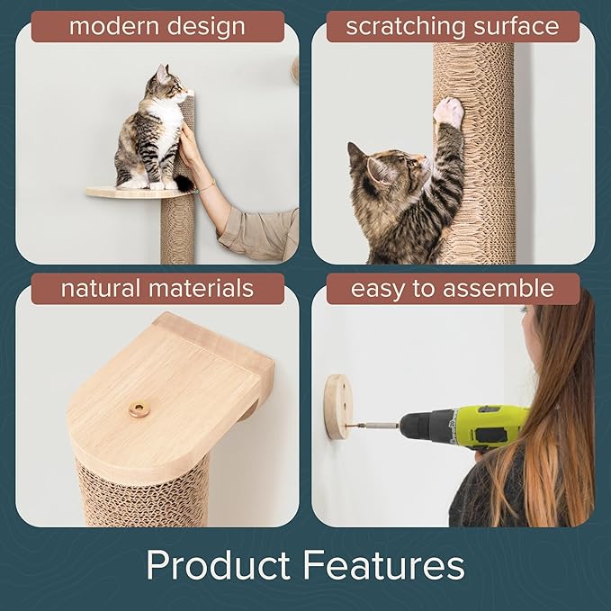 Cat Climbing Wall System – Modern Floating Shelves & Perches for Cats - Sunrise Steps | Ascentials by FurHaven-PawvioPets