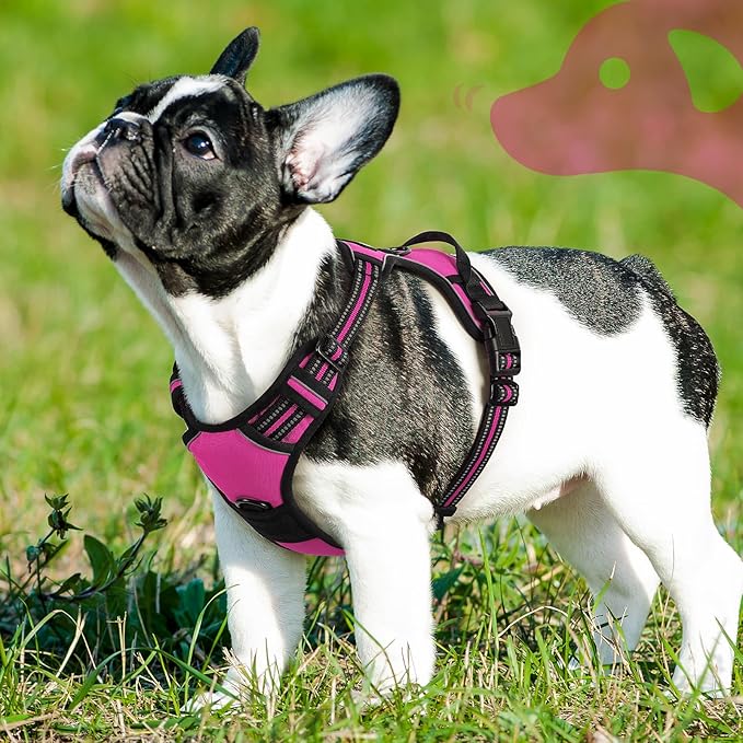 Eagloo Dog Harness Small Sized Dog, No Pull Service Vest with Reflective Strips and Control Handle, Adjustable and Comfortable for Easy Walking, No Choke Pet Harness with 2 Metal Rings, Rose Red, S-PawvioPets