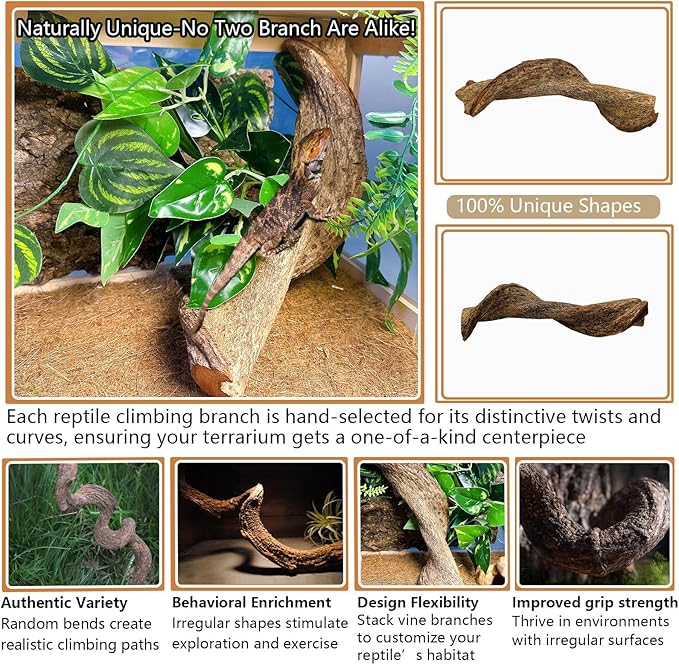 BNOSDM Reptile Climbing Branches Decor,Snake Climbing Branch,Gecko Climb Wood,Lizard Forest Branch,Tank Habitat Tree Trunk Decorations for Bearded Dragons,Chameleons,Spider,Frogs (XL)-PawvioPets