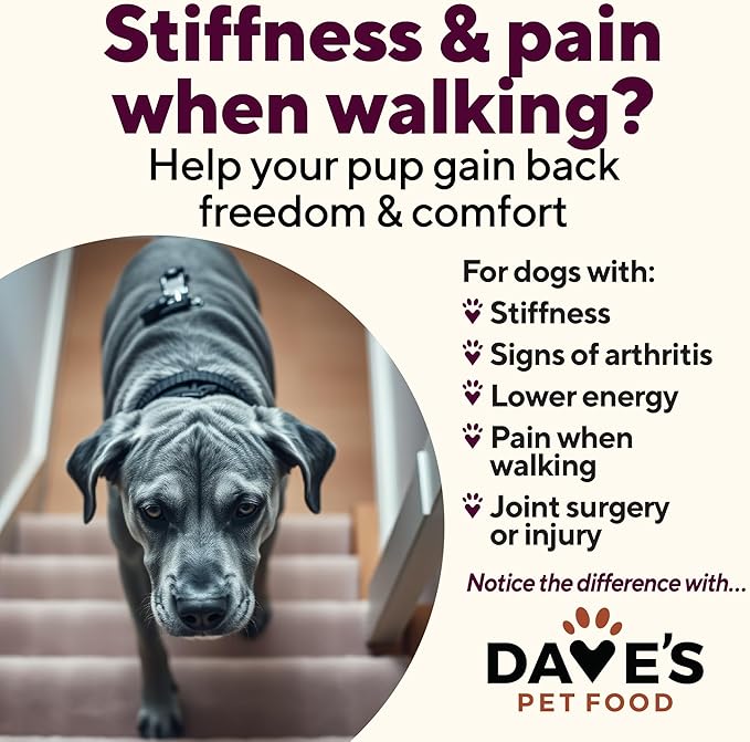 Dave's Pet Food Glucosamine Chondroitin for Dogs, Hip and Joint Support, Gluten-Free, Wet Senior Dog Food, 13.2 oz (Case of 12)-PawvioPets