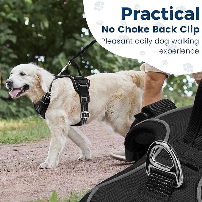 Funfox Dog Harness No Pull, Adjustable Pet Vest Harness, Super Soft Material with Vertical Handle Easy Control, Reflective Night Walking, 2 Leash Clips for Medium Sized Dogs, Black, M-PawvioPets