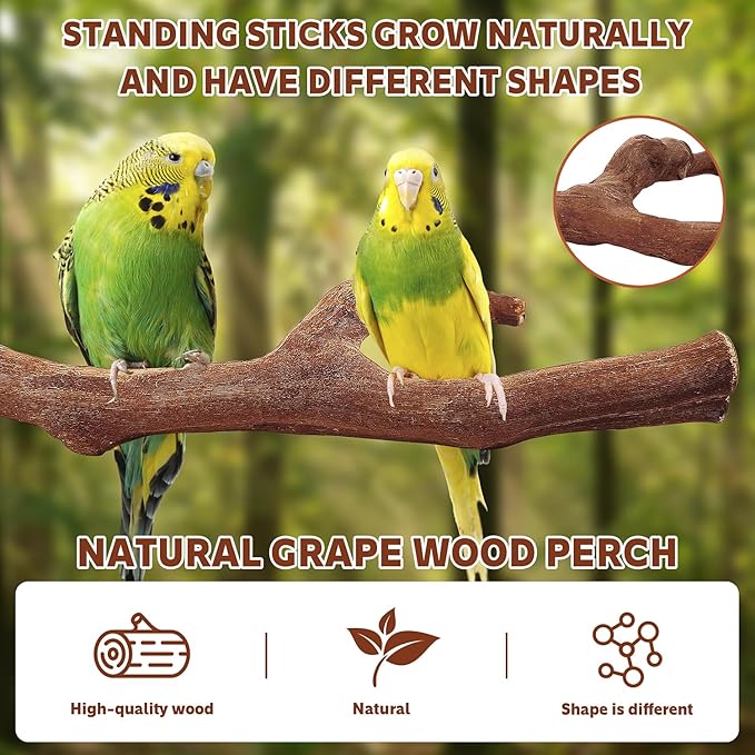 7-Piece Bird Perch Set: 3 Grapevine Paw Grinding Forks, 2 Wood Stands & 2 Hammocks - Cage Accessories for Parakeets, Cockatiels, Conures, Budgies-PawvioPets