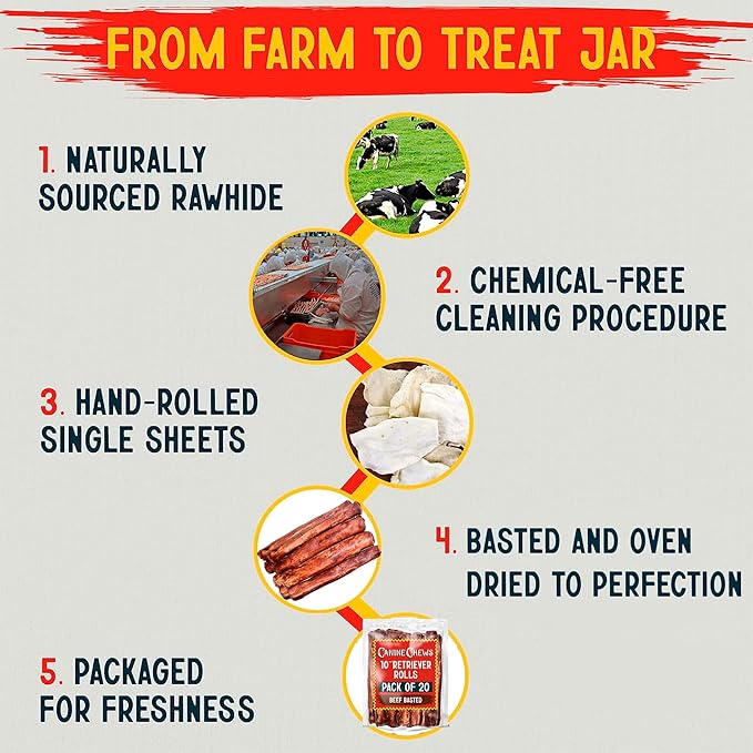 Canine Chews 10" Beef Basted Rawhide Bones for Large Dogs - 20 Pack - Hand-Rolled Dog Chews Basted in Beef Broth - Promotes Dental Health-PawvioPets