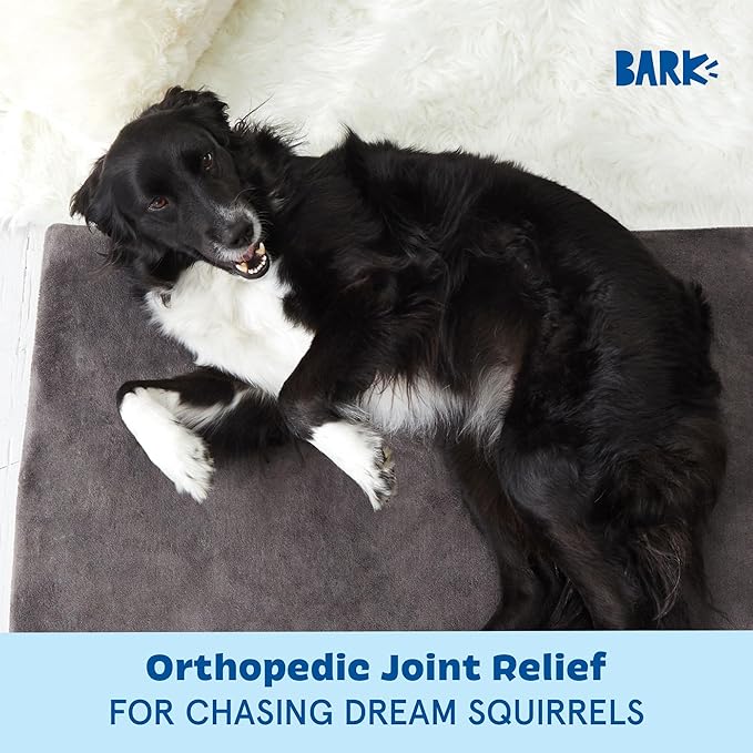 Barkbox Orthopedic Dog Bed with Memory Foam, Premium Comfort for Dogs and Puppies, Large Sized Dog Bed for Joint Relief and Restful Sleep, Durable and Easy to Clean - Grey, Large-PawvioPets