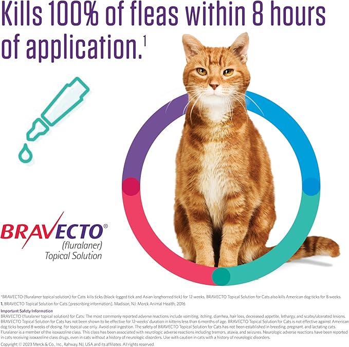 BRAVECTO Topical Solution for Cats, Flea & Tick, 12 Week Supply, 2.6-6.2 lbs., Green Box-PawvioPets
