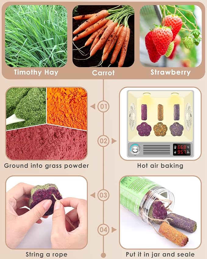 Bissap 12PCS Rabbit Chew Sticks, Hanging Chew Sticks & Cakes Timothy Hay Carrot Strawberry Treat for Bunny Chinchilla Guinea Pig Hamster and Other Small Pets Molar Snack Toy-PawvioPets