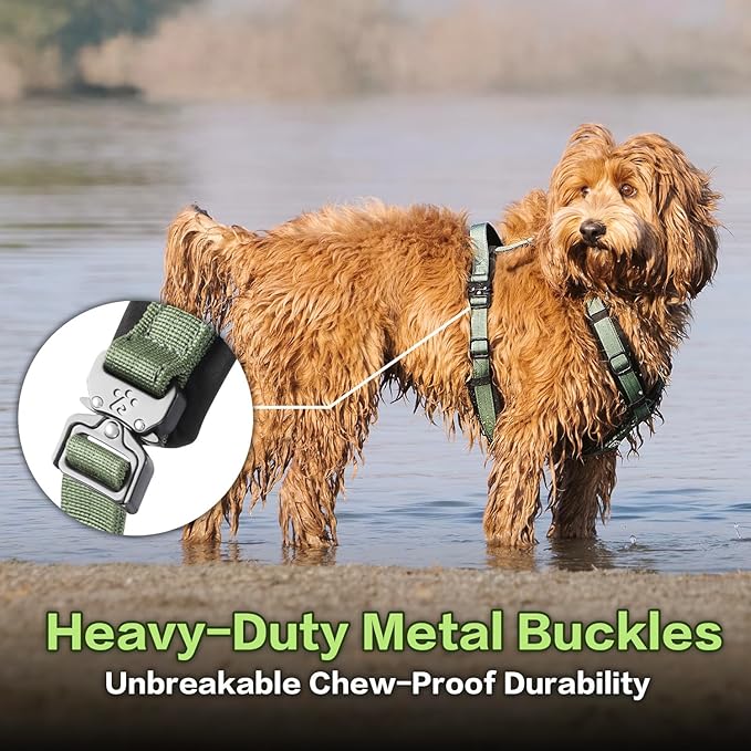 CLEPAWS Dog Harness for Medium Dogs, No Pull Dog Harness Easy Walk with Metal Hardware, Ergonomic Y-Shaped Design, Soft Padding, Padded Handle, Durable High-Tensile Nylon (Evergreen, M)-PawvioPets