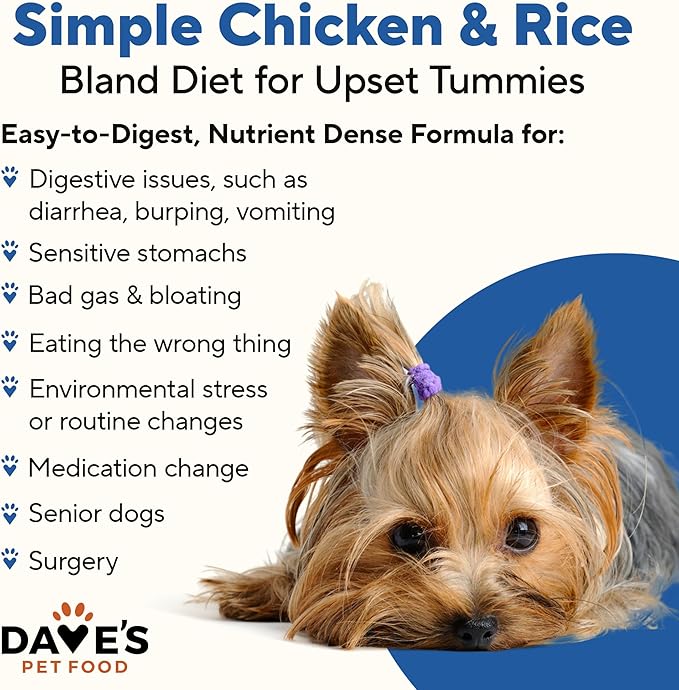 Dave's Pet Food Sensitive Stomach Dog Food (Chicken & Rice), Easy to Digest, Gluten-Free, Digestive Care, Wet Canned, 5.5 oz (Case of 24)-PawvioPets
