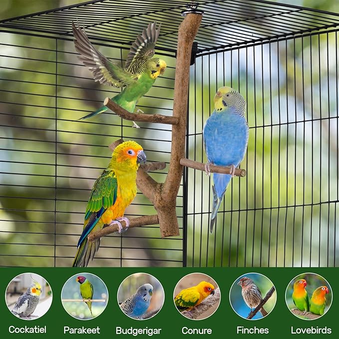 Bird Perch Stand, Natural Vitex Negundo Wood Parrot Perch Bird Cage Branch Perch, Accessories for Parakeets, Cockatiels, Conures, Macaws, Finches, LoveBirds (12" Length)-PawvioPets