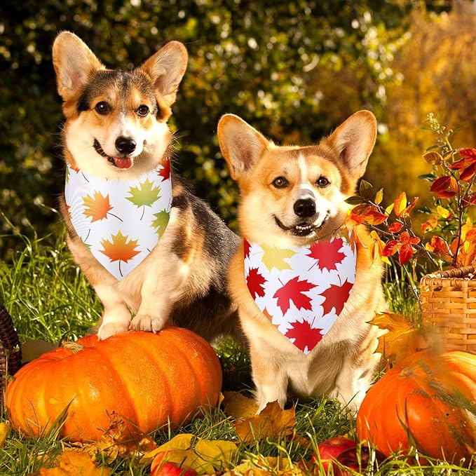 Abbylike 50 Pcs Fall Dog Bandana Bulk Maple Leaves Bandana for Dogs Triangle Kerchief Bibs Scarf for Small Medium Large Pet Autumn Thanksgiving Costume Accessories, 25 Styles (25.6 x 17.7 x 17.7 Inch)-PawvioPets