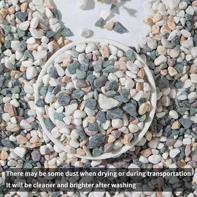 2lb Succulent and Cactus Gravel Pebbles 1/5-3/8 Inch Natural Decorative Polished Stones River Rocks for Plants, Vases, Aquariums, Terrarium and Outdoor Gardening, Mixed Color-PawvioPets