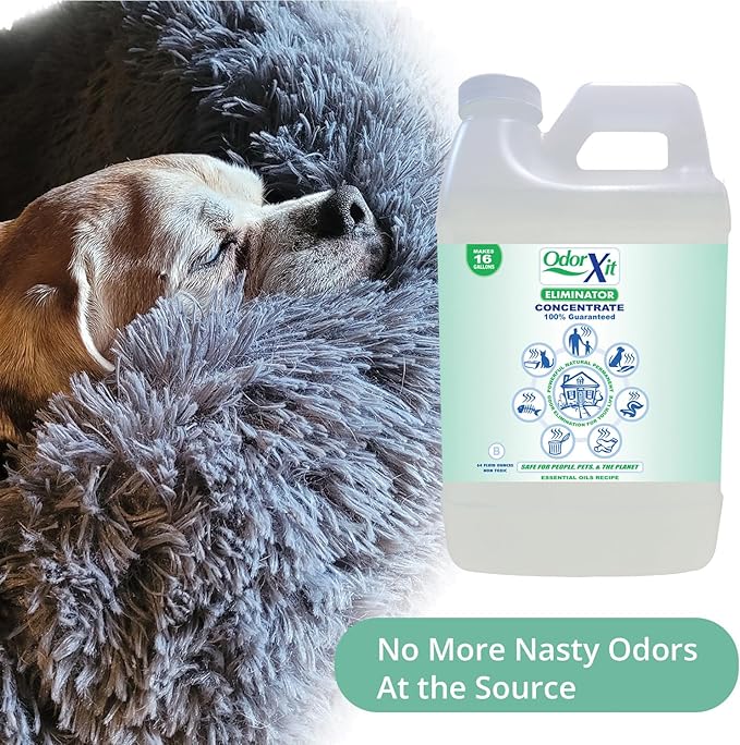 Concentrated Pet Urine Odor Eliminator, Ideal for Cat, Dog Poo and Urine Smell, Versatile & Natural Odor Neutralizer for Home and Outdoor Use, Deodorizer & Absorber, Concentrate, 64oz-PawvioPets