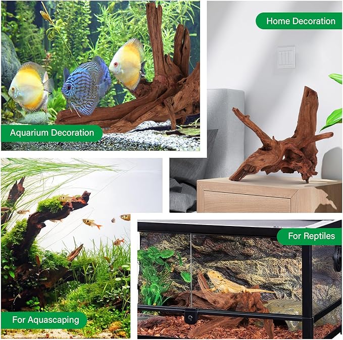 Driftwood for Aquarium Natural Aquarium Wood for Aquascaping Fish Tank Decorations Reptile Tank Decor (Natural Driftwood 6-10" (Pack of 3)+Protein Cotton)-PawvioPets