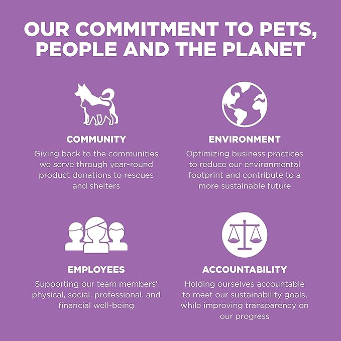 Go! Solutions Carnivore, Grain-Free, Protein Rich Dry Cat Food, Chicken, Turkey and Duck Recipe, 8 lb Bag-PawvioPets