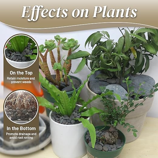 45 LB Mexican Beach Pebbles - 1-2 Inch Decorative River Rocks for Landscaping, Garden Paving, Plant Rocks, Crafting, Walkways, Backyard, Grey Natural Unpolished Bulk Stones-PawvioPets