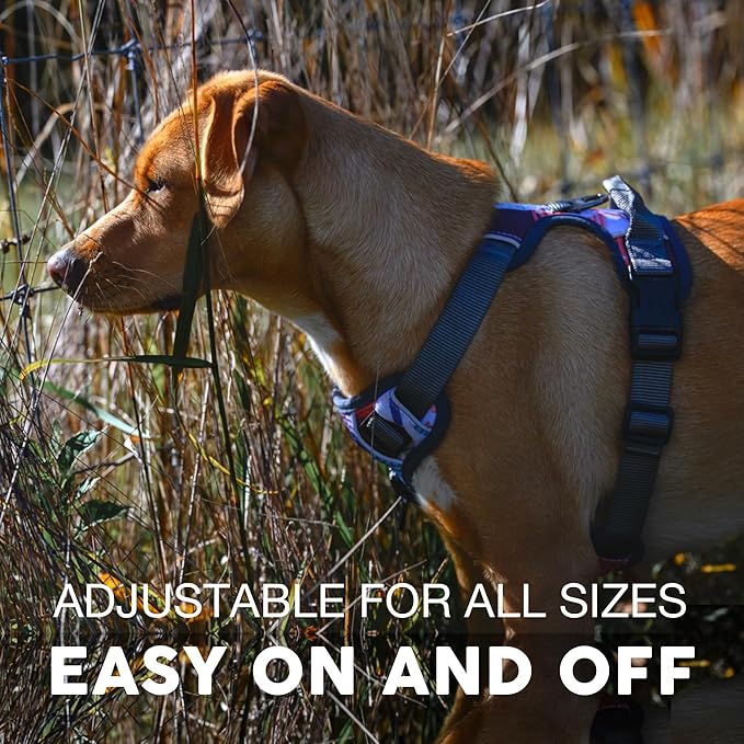 Embark Adventure Dog Harness, Reflective Trim No Pull Dog Harnesses for Small Sized Dogs - Military Grade Nylon, Front Clip with Gel Lined Handle.-PawvioPets