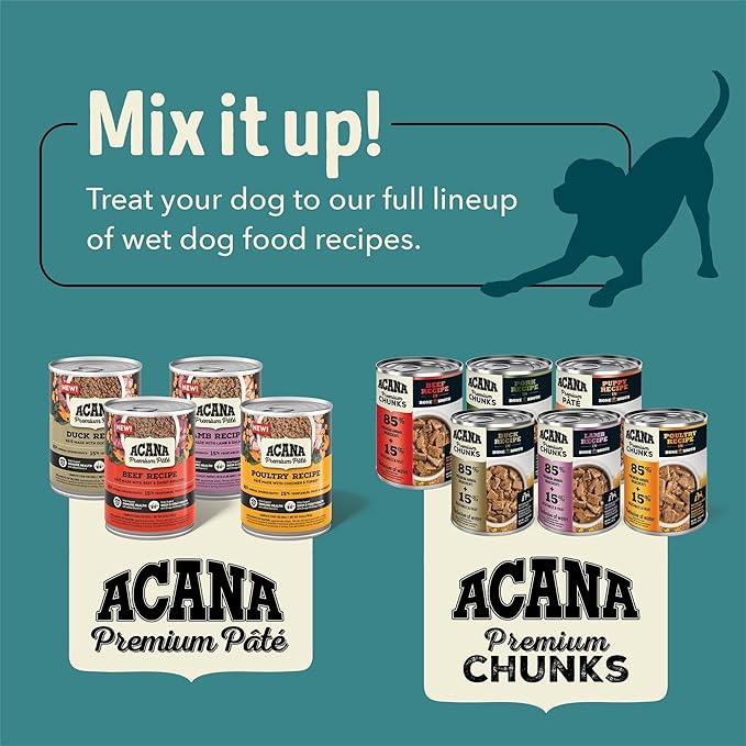 ACANA Premium Pate in Bone Broth Grain-free Wet Dog Food Lamb Recipe 12.8oz Cans (12 Count)-PawvioPets