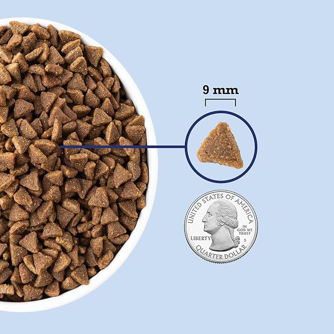 ACANA Indoor Entrée Fish Recipe Dry Cat Food 10lb Bag-PawvioPets