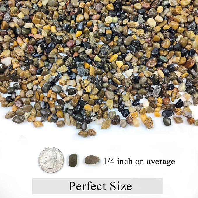 2lbs Fish Tank Rocks, 1/4 Inch Pea Gravel for Fish Tank, Decorative River Rocks for Aquarium Succulent Cactus Plant Vase Fillers Soil Cover and Outdoor Landscaping Stones-PawvioPets