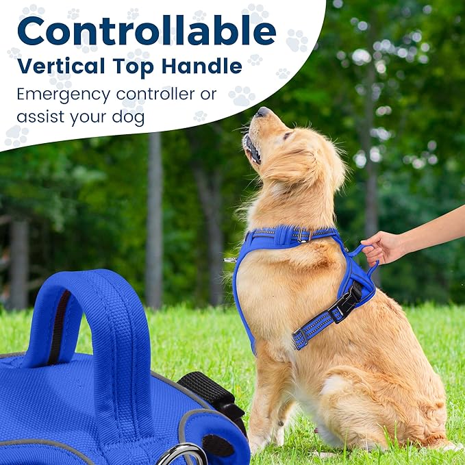 Funfox Dog Harness No Pull, Adjustable Pet Vest Harness, Super Soft Material with Vertical Handle Easy Control, Reflective Night Walking, 2 Leash Clips for Small Sized Dogs, Blue, S-PawvioPets