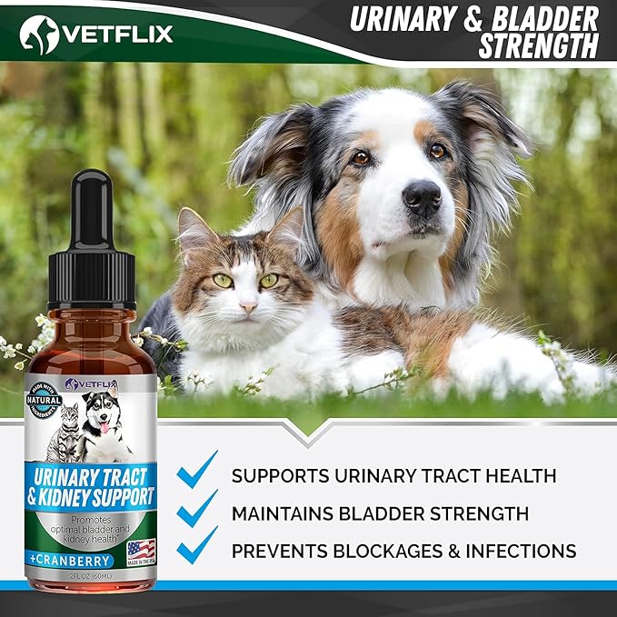 Cranberry Dog & Cat UTI Treatment - Best UTI for Pets - Made in USA - Dog & Cat Kidney Support - Cat Bladder Drops - Pet Immune Health Supplement - Marshmallow, Dandelion Root, Pumpkin Seed - 2 Fl Oz-PawvioPets