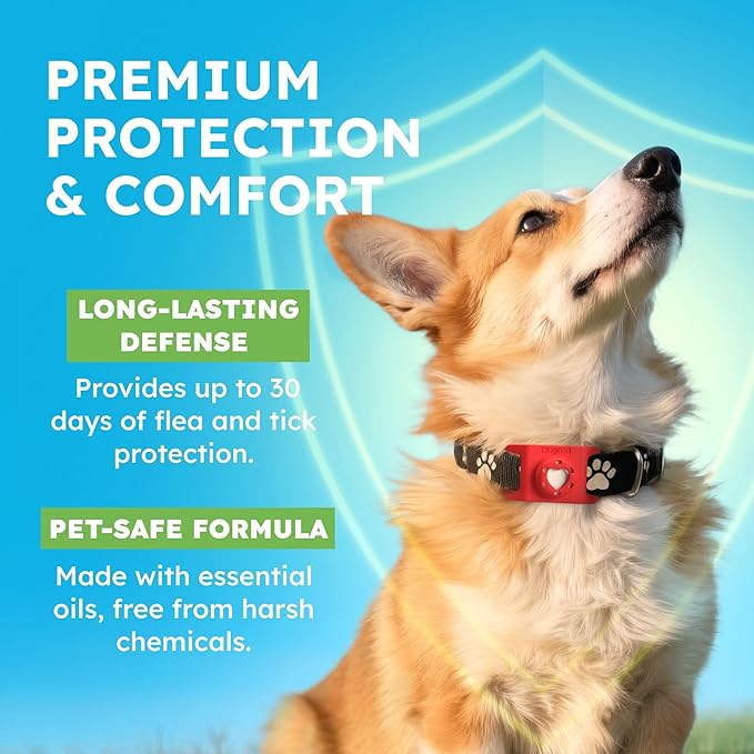BugMD Paw Guardian Refill, Plant-Powered Flea & Tick Protection Tablets, 3 Count, 30-Day Protection, Natural Essential Oil Formula-PawvioPets