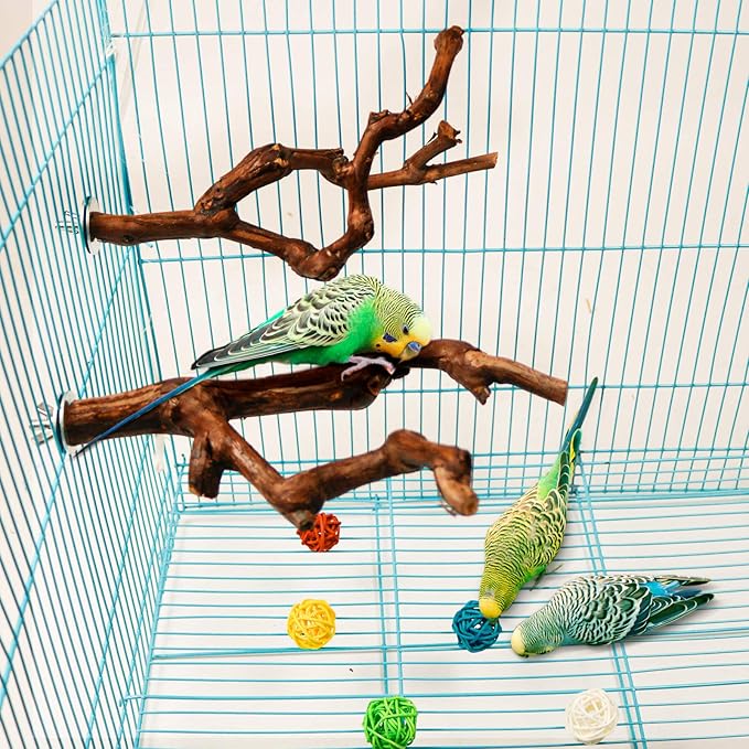 2 Packs Parrot Bird Perches,Natural Wild Grape Stick Grinding Paw Climbing Standing Cage Accessories Toy for 3-4 Parakeets, Budgies, Lovebirds,Cockatiels (Style-1)-PawvioPets