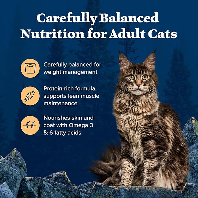 Blue Buffalo Wilderness High-Protein, Grain-Free Natural Dry Food for Adult Cats, Weight Control, Chicken, 11-lb Bag-PawvioPets