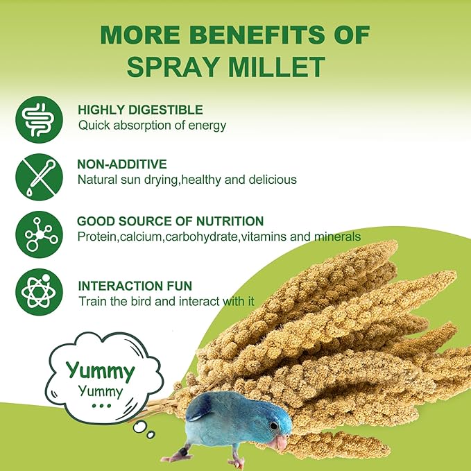 2LB Spray Millet Bird Treat for Parakeets, Natural Sun-Dried Birds Millet Spray for Parrots, Finches, Cockatiel, Budgie & Hamster, Bird Food Bulk-PawvioPets