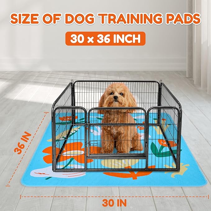 BurgeonNest Washable Pee Pads for Dogs, 2 Pack 30''x36'' Super Absorbent, Leakproof & Non-Slip Reusable Potty Pads for Dogs, Puppy, Playpen, Crate, Whelping Box, Potty Training, Blue-PawvioPets