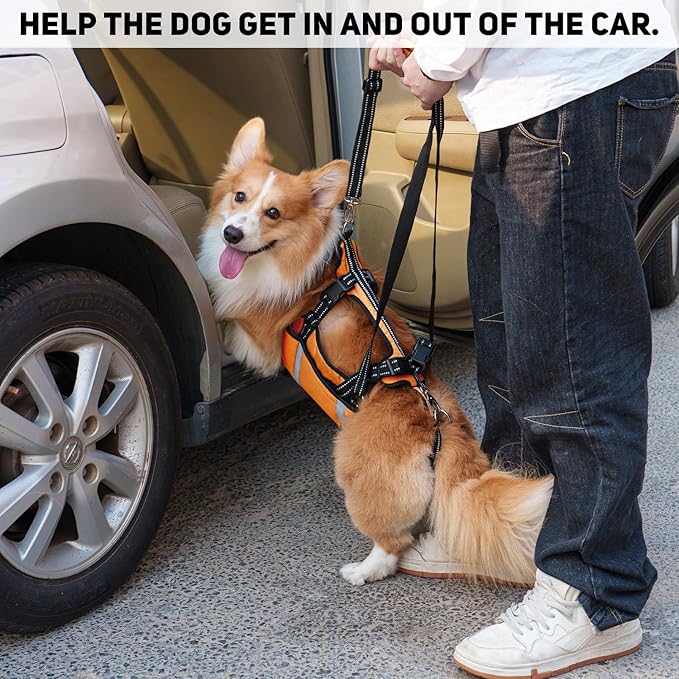 COODEO Mobility Dog Lift Harness, Emergency Carry Sling, Pet Rear Leg Support Rehabilitation Lifts Vest, Dog Carrier for Senior Dogs Joint Injuries, Arthritis (Orange, XL)-PawvioPets