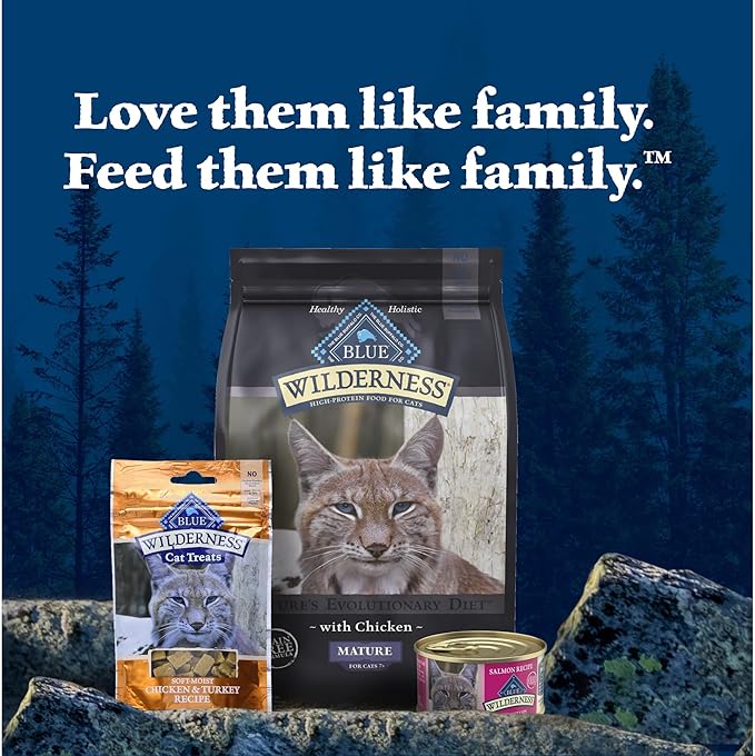 Blue Buffalo Wilderness Natural High-Protein Grain-Free Wet Food for Adult Cats, Salmon Paté, 3-oz. Cans, 24 Count-PawvioPets