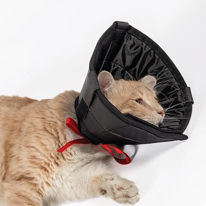 Cat Cone Collar - Soft Adjustable Cat Elizabethan Healing Collar – Lightweight Wound‑Protection Neck Cone for Licking/Biting Prevention, Fits Neck 6.5″–10.5″, Ideal Post‑Surgery & Injury Care-PawvioPets