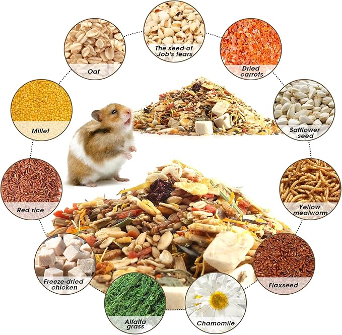 Gourmet Hamster & Gerbil Food, Dry Food for Hamsters-Supports Healthy Digestion and Healthy Teeth Unique Edible Treats for Guinea Pigs, Hamsters, Gerbils-PawvioPets