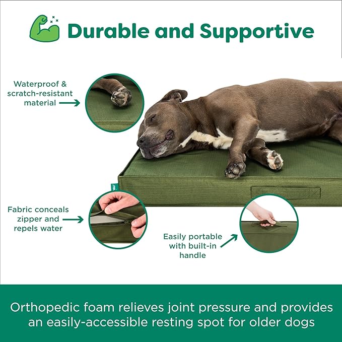 FurHaven Cooling Dog Bed – Medium Foam Mattress for Joint Pain Relief, Waterproof Liner, Removable Washable Cover, Durable for Outdoor Use, Deluxe Grid Indoor/Outdoor Bed – Green, Medium-PawvioPets