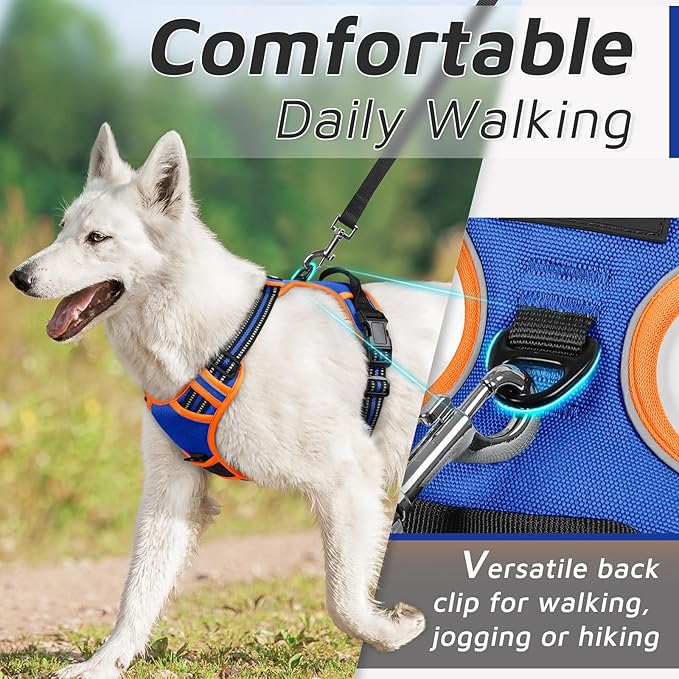 Eagloo Dog Harness Small Sized Dog, No Pull Service Vest with Reflective Strips and Control Handle, Adjustable and Comfortable for Walking, No Choke Pet Harness with 2 Metal Rings, Blue & Orange, S-PawvioPets