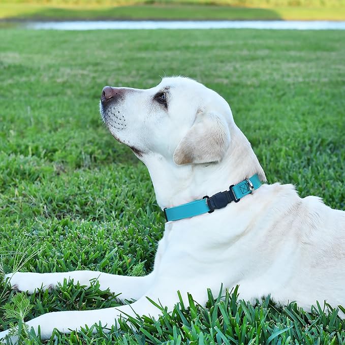 Dogline Biothane Waterproof Dog Collar with Herm Sprenger Stainless Steel Quick Release Buckle – Heavy Duty Tactical Durable Collar for Dogs – Comfortable and Safe Pet Collar, W 1" L 15-25" Sky Blue-PawvioPets