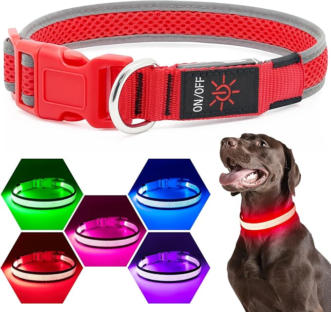 Flashseen LED Dog Collar, Light Up Dog Collar USB Rechargeable, Brightest Dog Lights for Night Walking, Adjustable Dog Collar Light for Dog Safety(Small, Ruby Red)-PawvioPets