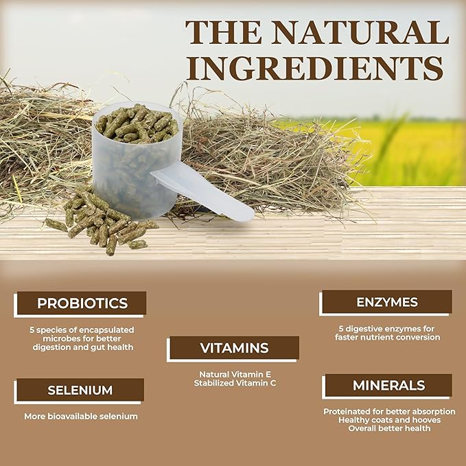 Equerry's Economy Equine Supplement - Horse Probiotics | Supplement for Horses | Horse Vitamins and Minerals Supplement with Enzymes and Selenium, 10lb-PawvioPets