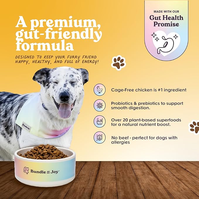 Golden Probiotic Dog Food Dry, Chicken, 4lb Bag, Allergy and Gut-Friendly Adult Kibble for Digestive Health with Cage-Free Chicken, 20 Plant Based Superfoods, Beef and Grain Free-PawvioPets