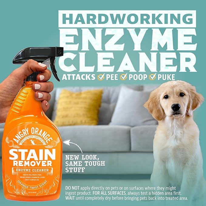 ANGRY ORANGE Pet Stain Remover for Dog Urine and Stains - Enzyme Cleaner - Citrus - Value 2 pack-PawvioPets
