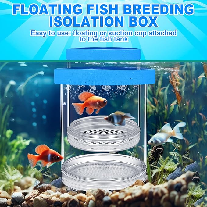 2 Pcs Breeder Box for Fish Tank Aquarium Breeder Separation Net Breeding Box with Suction Cup for Small Fish Shrimp Clownfish Guppy(Blue,L)-PawvioPets