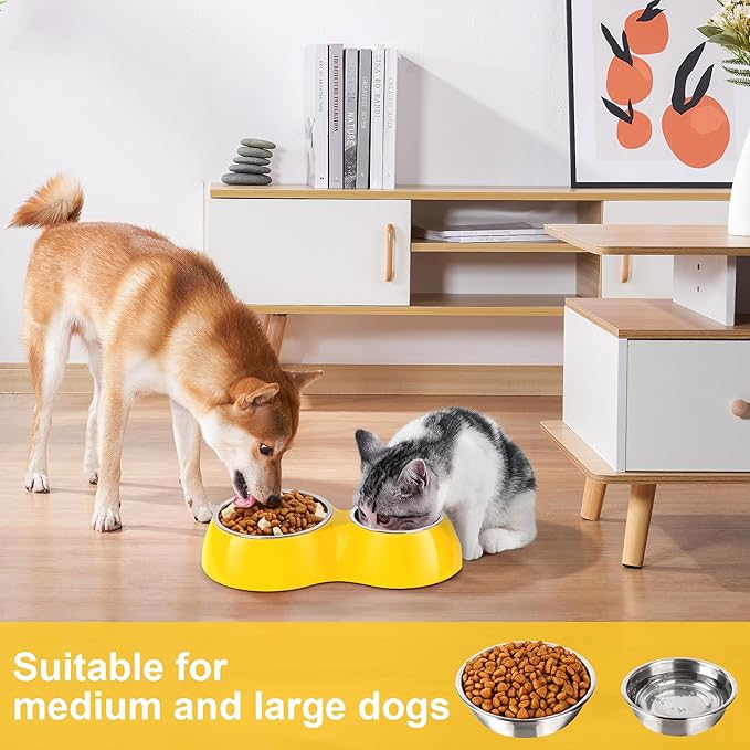 Elevated Dog Bowls Set - Non-Slip Raised Pet Feeder with Medium (2 Cups) & Large (4 Cups) Stainless Steel Bowls - Includes Durable Resin Stand for Puppies, Adult Dogs & Cats - Yellow-PawvioPets