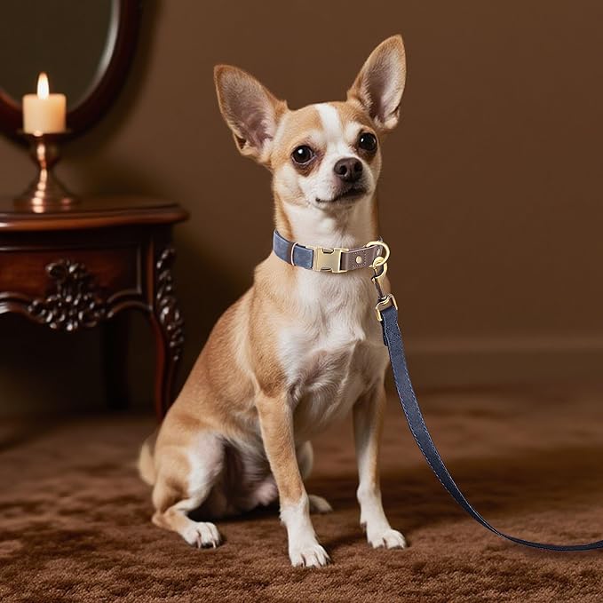 Didog Soft PU Leather Dog Collars for Small Dogs,Classic Adjustable Dog Collars with Quick Release Metal Buckle,Easy Clean and Comfortable with Nylon Lining,Blue,S Neck 10-15"-PawvioPets