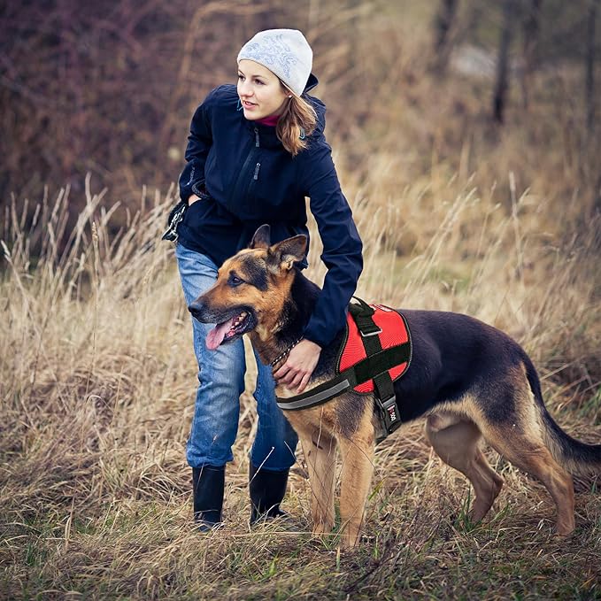 Dogline Dog Harness, Reflective No-Pull Adjustable Vest with Handle for Walking, Training, Service Breathable No - Choke Harness for Small, Medium or Large Dogs Room for Patches Girth 15 to 18 in Red-PawvioPets