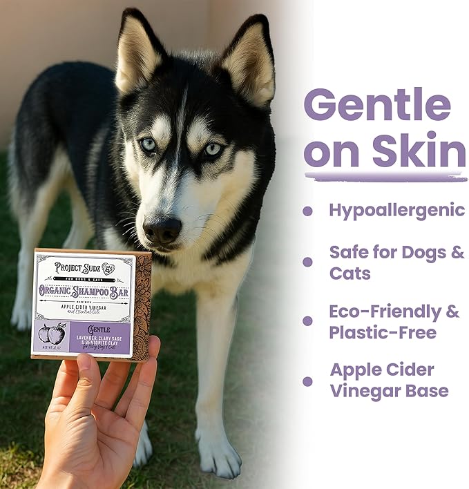 Gentle All Natural Dog Shampoo for Dry Coat for Sensitive Skin | Bar Shampoo for Dogs | Organic Dog Shampoo Sensitive Skin | Lavender (1)-PawvioPets